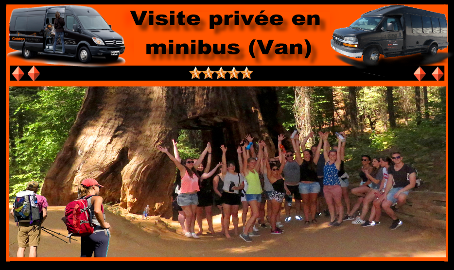 Excursion-de-groupe-en-bus-du-parc-national-de-sequoias 